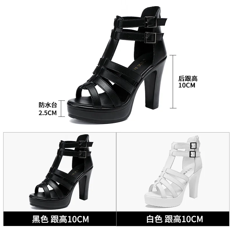 Gladiator Ladies Shoe for Wome - Summer Clothing Stores recensione e prezzo
